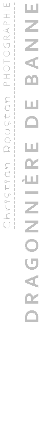 DRAGONNIÈRE DE BANNE