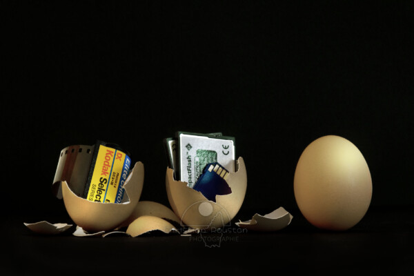 Oeuf, Carte SD, Film, Diapo, Kodak, Compact Flash, Coquille Évolution de la photo, que nous réserve l'avenir? (Photomontage de Christian Roustan)