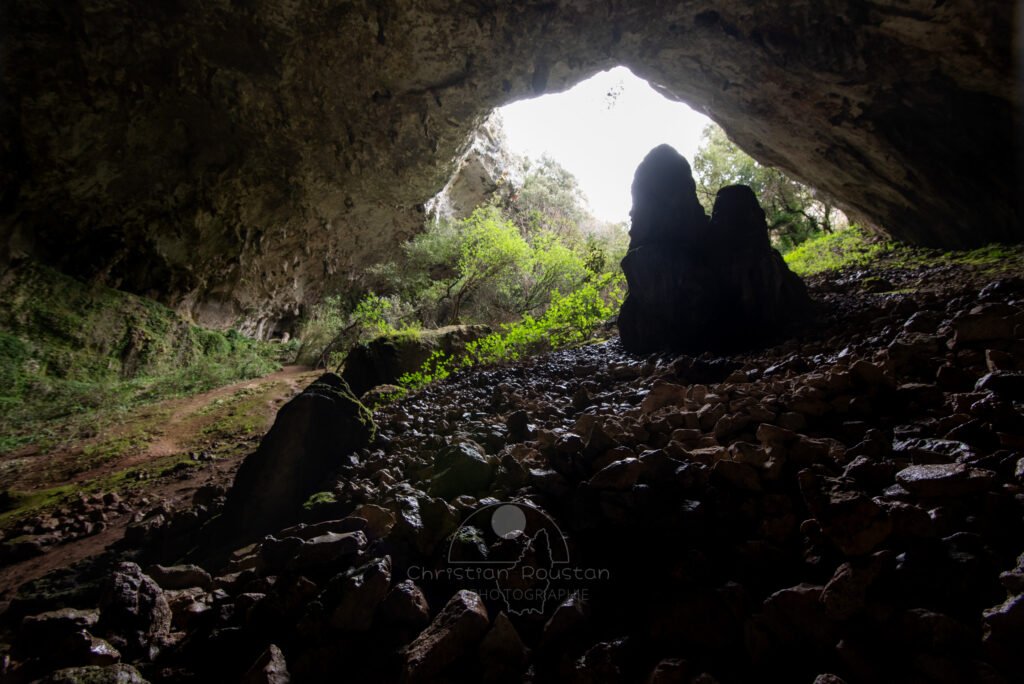 Descente dans le gouffre, la végétation profite encore un peu de la lumière. (Baume de Ronze, Ardèche)