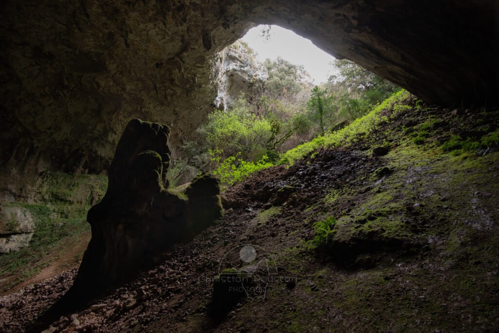 La végétation profite encore un peu de la lumière. (Baume de Ronze, Ardèche)