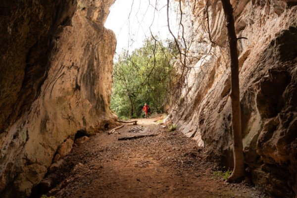 Le grand porche d'entée (Avec son arbre qui cherche désespérément la lumière). (Grotte de Chironlong, Ardèche)