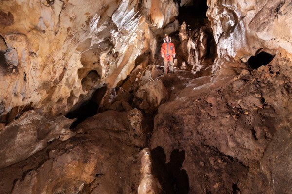 Vue du fond. (Grotte de Chironlong, Ardèche)