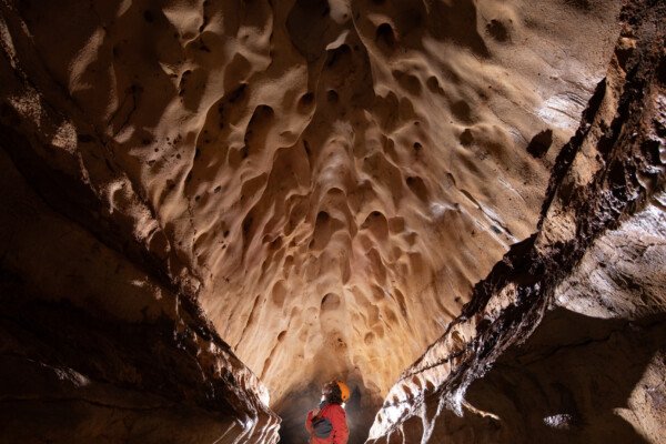 Le superbe plafond avant de rejoindre la galerie des rotondes. (Grotte du Barrage, Gard)