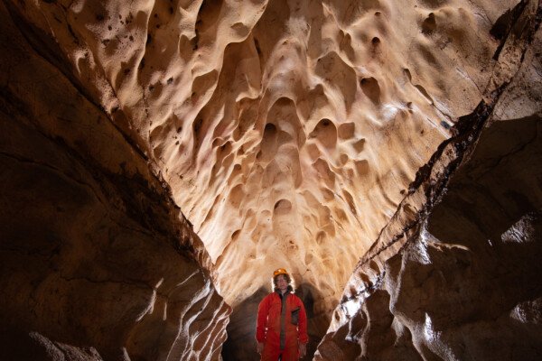 Le superbe plafond avant de rejoindre la galerie des rotondes. (Grotte du Barrage, Gard)
