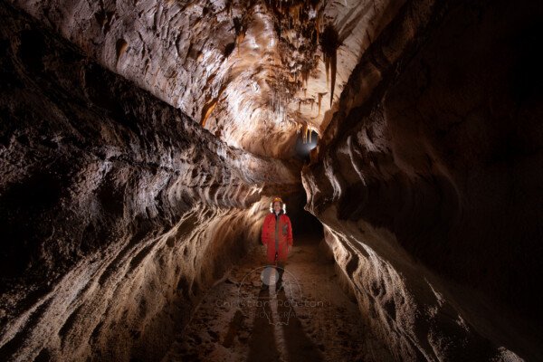 Quelques concrétions au départ de la galerie des racines. (Grotte du Barrage, Gard)