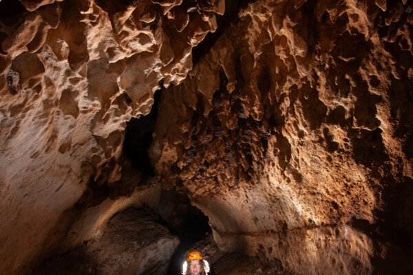 Lapiaz de voûte. (Grotte du Barrage, Gard)