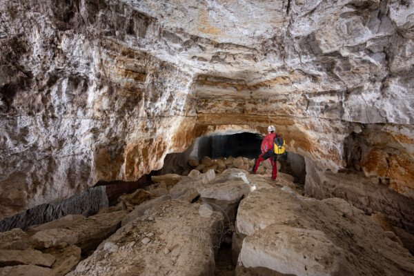 Une grande partie de la galerie s'est effondrée, laissant apparaître la couleur blanche et ocre de la roche. (Carrière de Vallabrègues, Vaucluse)