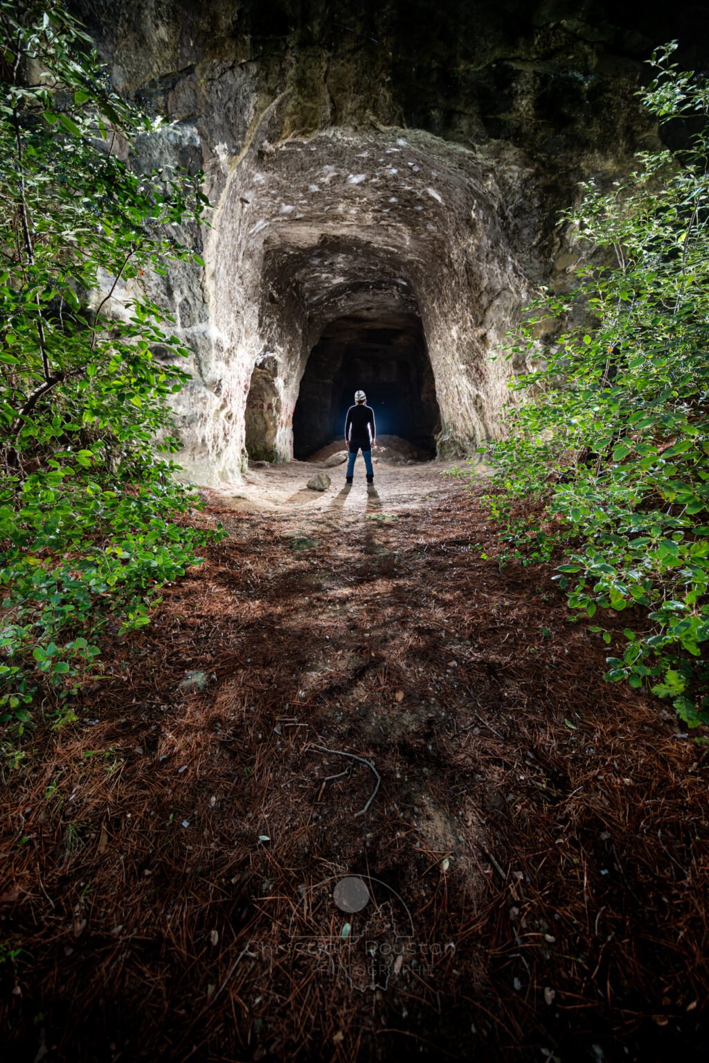 Galerie d'entrée de la carrière avec un peu de verdure et un spéléo. (Carrière de Vallabrègues, Vaucluse)