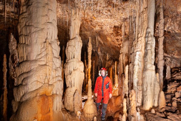 Dans la grande salle de la grotte Flandin, un spéléo se trouve entre deux grands massifs de concrétions. (Grotte Flandin, Ardèche)