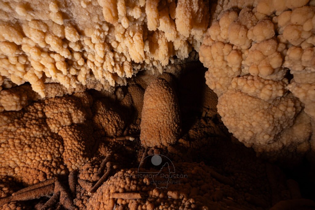 Intérieur de gour asséché, plusieurs formes de cristallisation sont visibles. (Grotte Flandin, Ardèche)