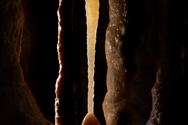 Une stalagmite en forme de massue se dresse fièrement. (Grotte Flandin, Ardèche)