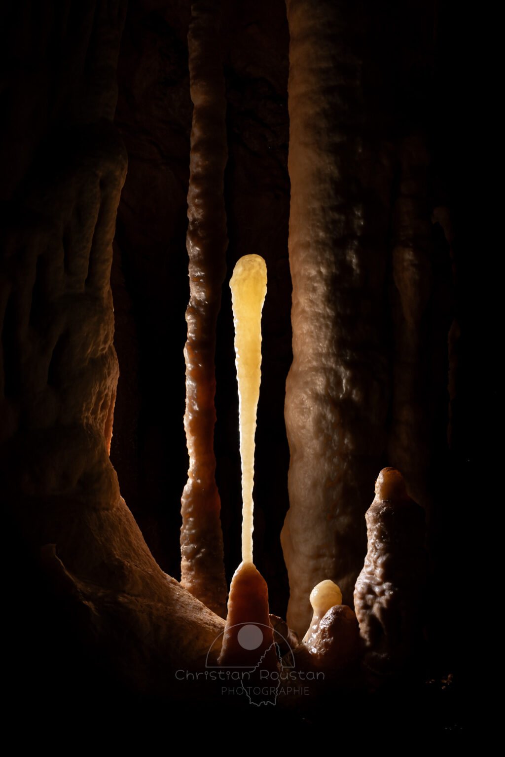 Le gourdin de l'homme des cavernes. (Grotte Flandin, Ardèche)