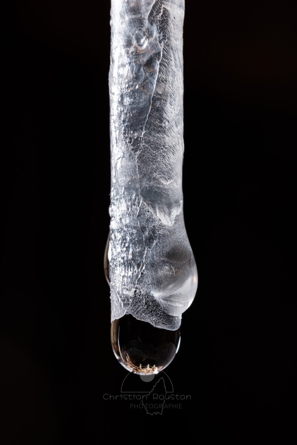Fin comme du papier à cigarette...Hernie sur fistuleuse. (Grotte Flandin, Ardèche)