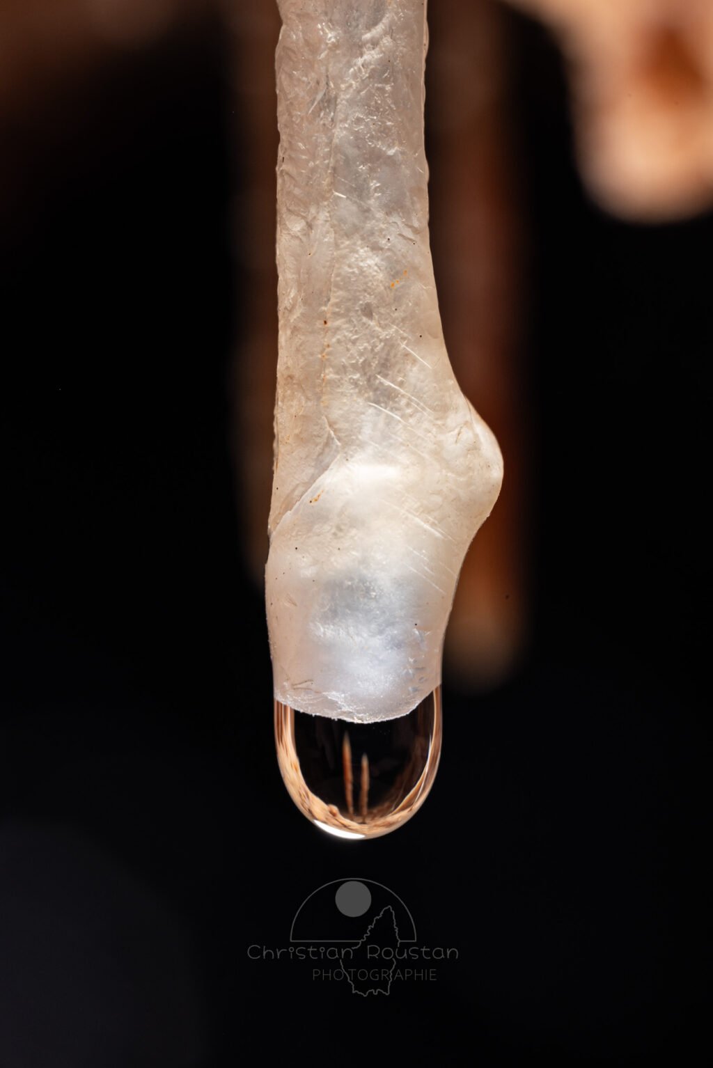 Hernie sur fistuleuse. (Grotte Flandin, Ardèche)