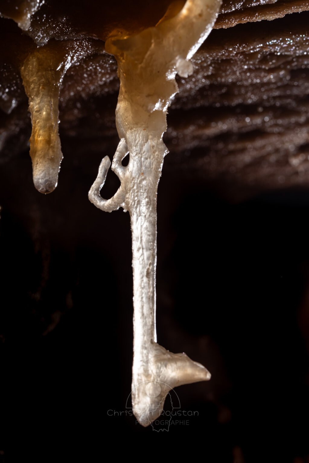 Un amarrage des plus fragile... (Grotte Flandin, Ardèche)