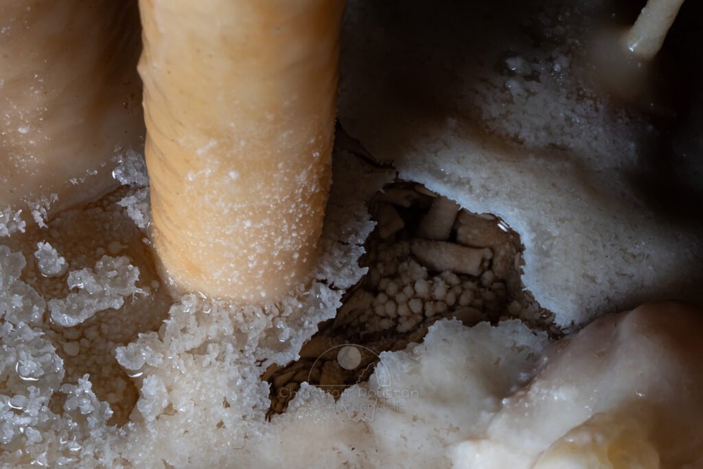 Petit gours cristallisé. (Grotte Flandin, Ardèche)