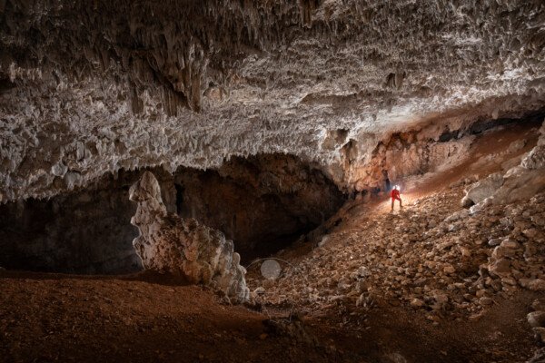 Dans la grotte des Camisards une formation stalagmitique a une allure animale (avec un peu d'imagination). (Grotte des Camisards, Gard)