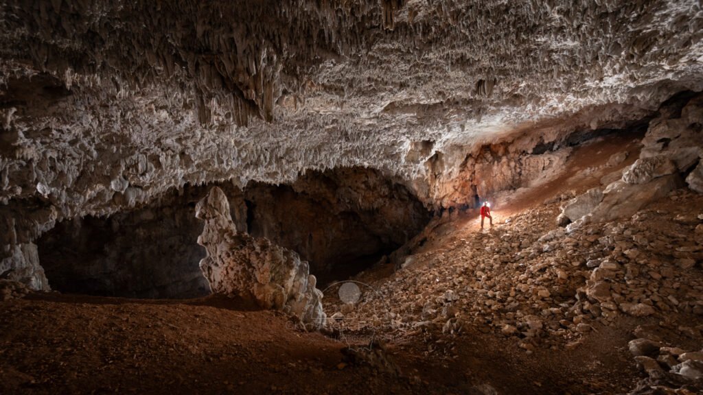 Dans la grotte des Camisards une formation stalagmitique a une allure animale (avec un peu d'imagination). (Grotte des Camisards, Gard)
