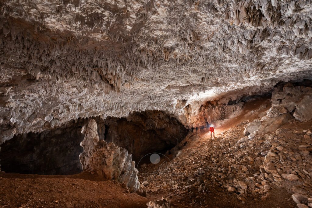 Une allure animale (avec un peu d'imagination). (Grotte des Camisards, Gard)