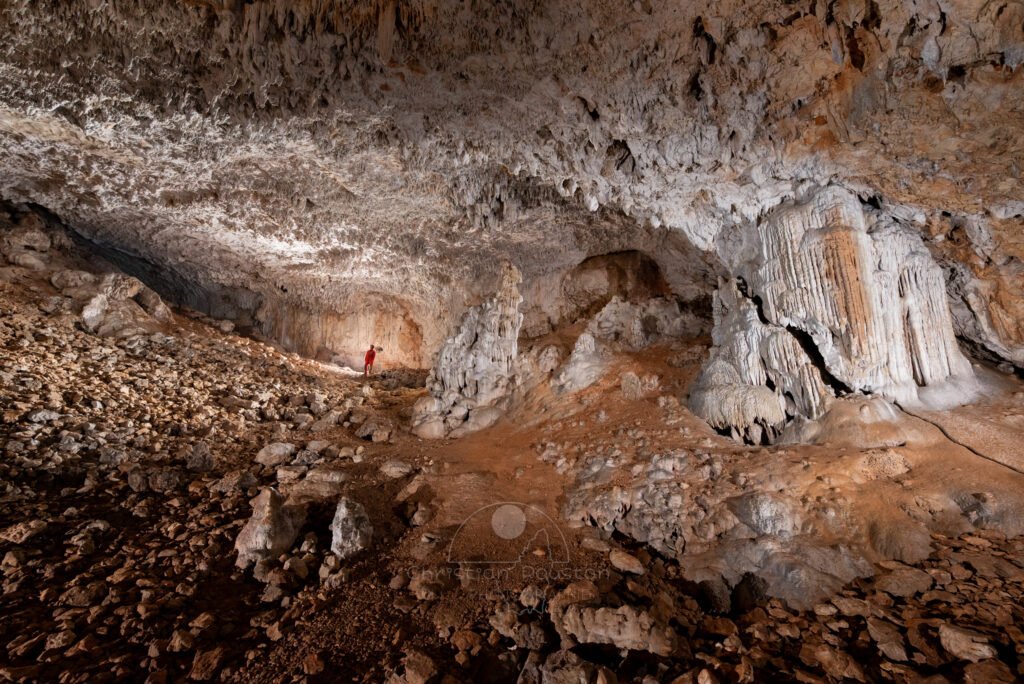 Vue sur la grande coulée de calcite. (Grande salle de la grotte des Camisards, Gard)