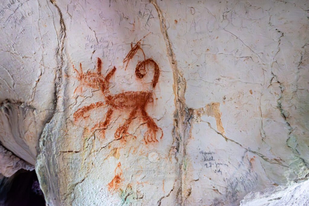 Un chat dessiné au pastel rouge. (Grotte des Fées, Ardèche)