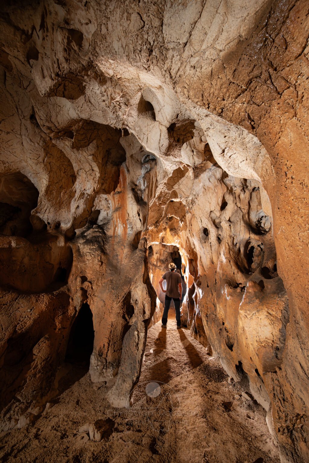 La galerie des perles. (Grotte des Fées, Ardèche)