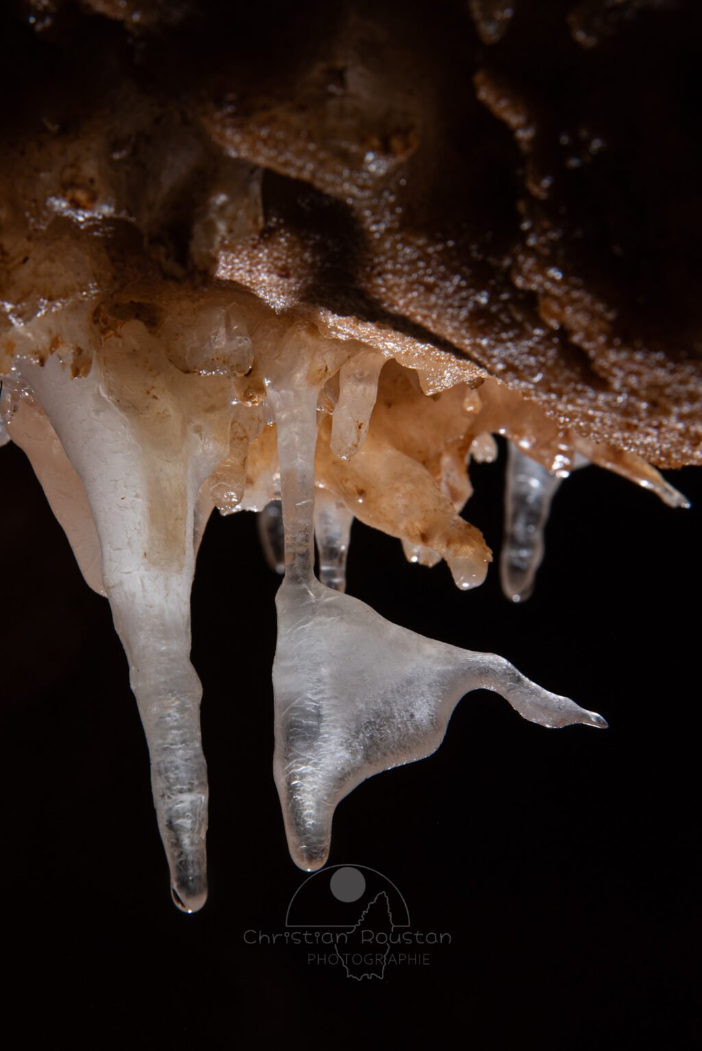 Duo de spéléothèmes. (Grotte du Barry, Gard)