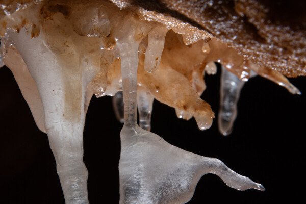 Duo de spéléothèmes. (Grotte du Barry, Gard)