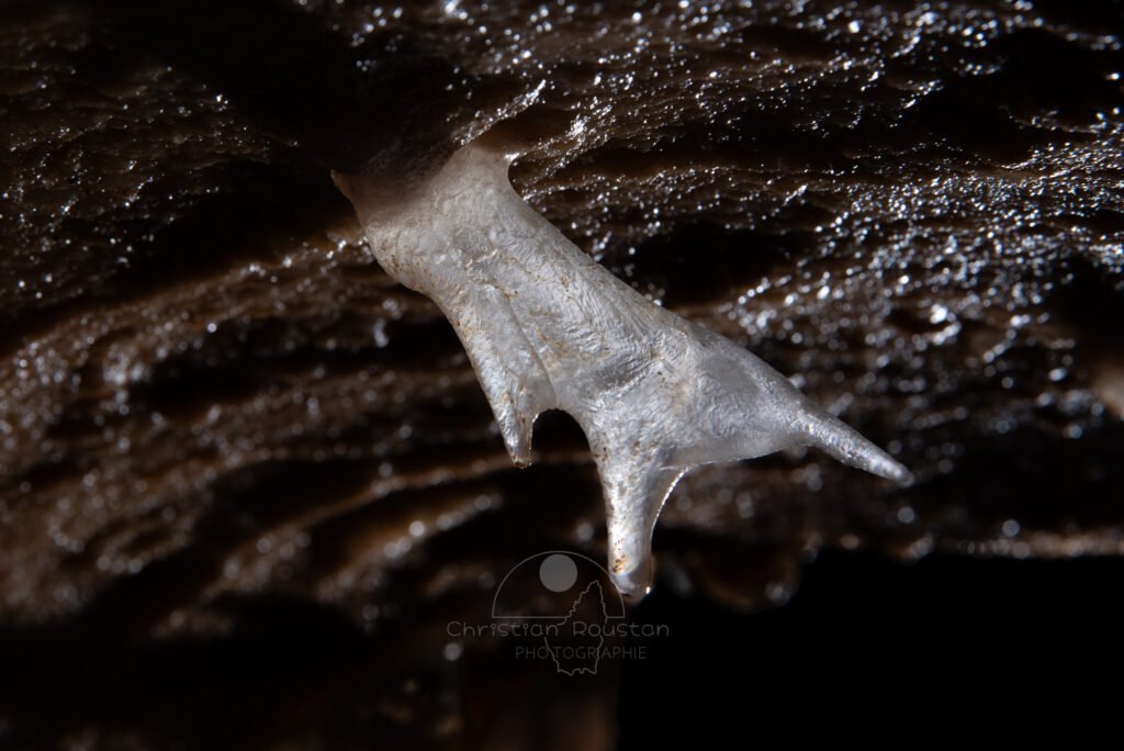 Spéléothème: Un cristal égaré. (Grotte du Barry, Gard)
