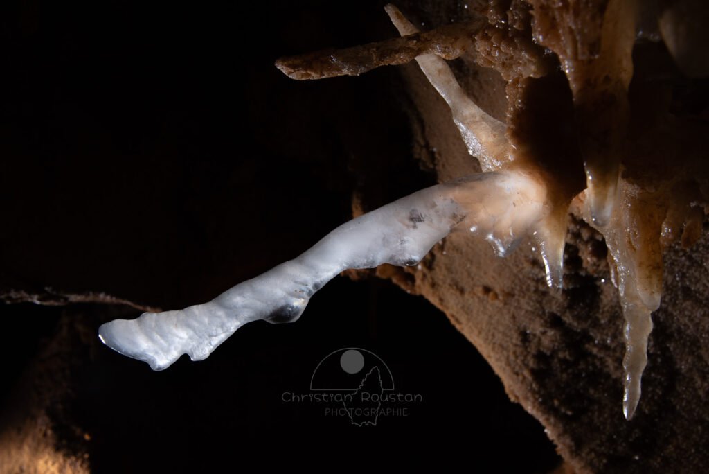 Transparence de l'excentrique. (Grotte du Barry, Gard)