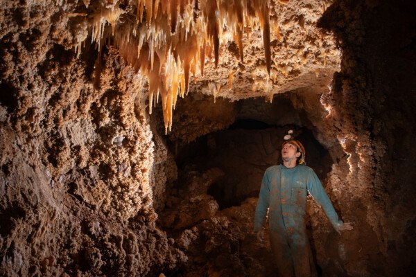 Un spéléo admire un plafond richement décoré. (Grotte du Barry, Gard)