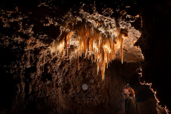 Dans une ambiance colorée, un spéléo admire un plafond richement concrétionné. (Grotte du Barry, Gard)
