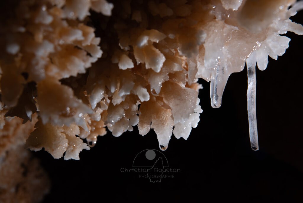 Blancheur des spéléothèmes. (Grotte du Barry, Gard)