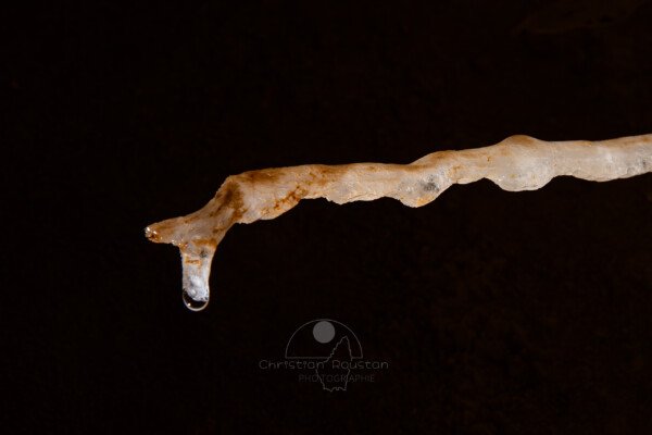Il y a une goutte au bout du truc. (Grotte du Barry, Gard)