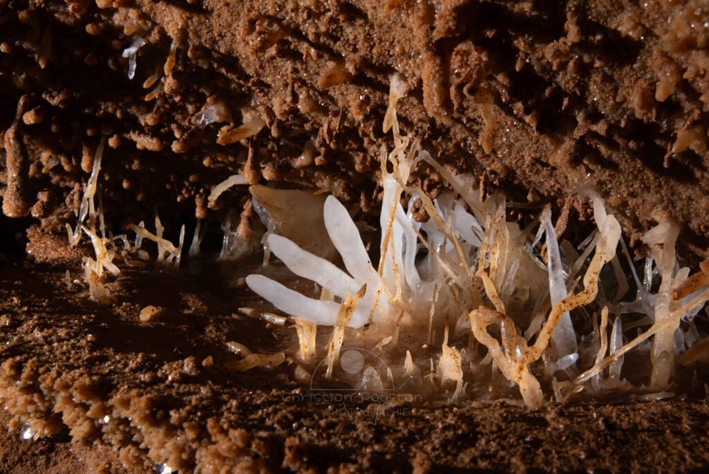 Des doigts blancs dans ce monde rouge et ocre. (Grotte du Barry, Gard)