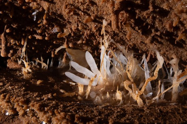 Des doigts blancs dans ce monde rouge et ocre. (Grotte du Barry, Gard)