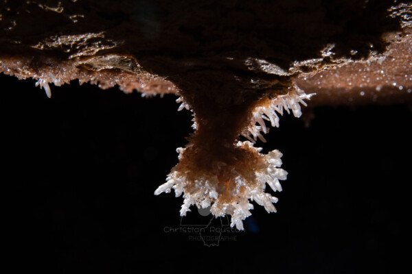 Quelques cristaux illuminent la paroi. (Grotte du Barry, Gard)