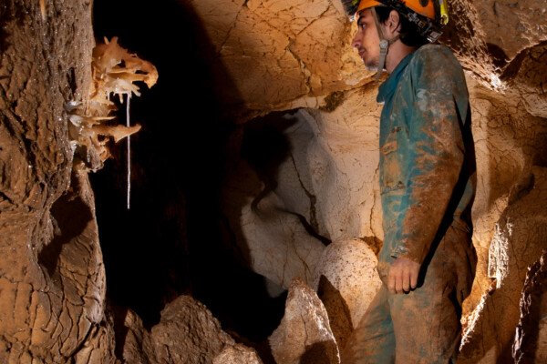 Une fistuleuse solitaire. (Grotte du Barry, Gard)