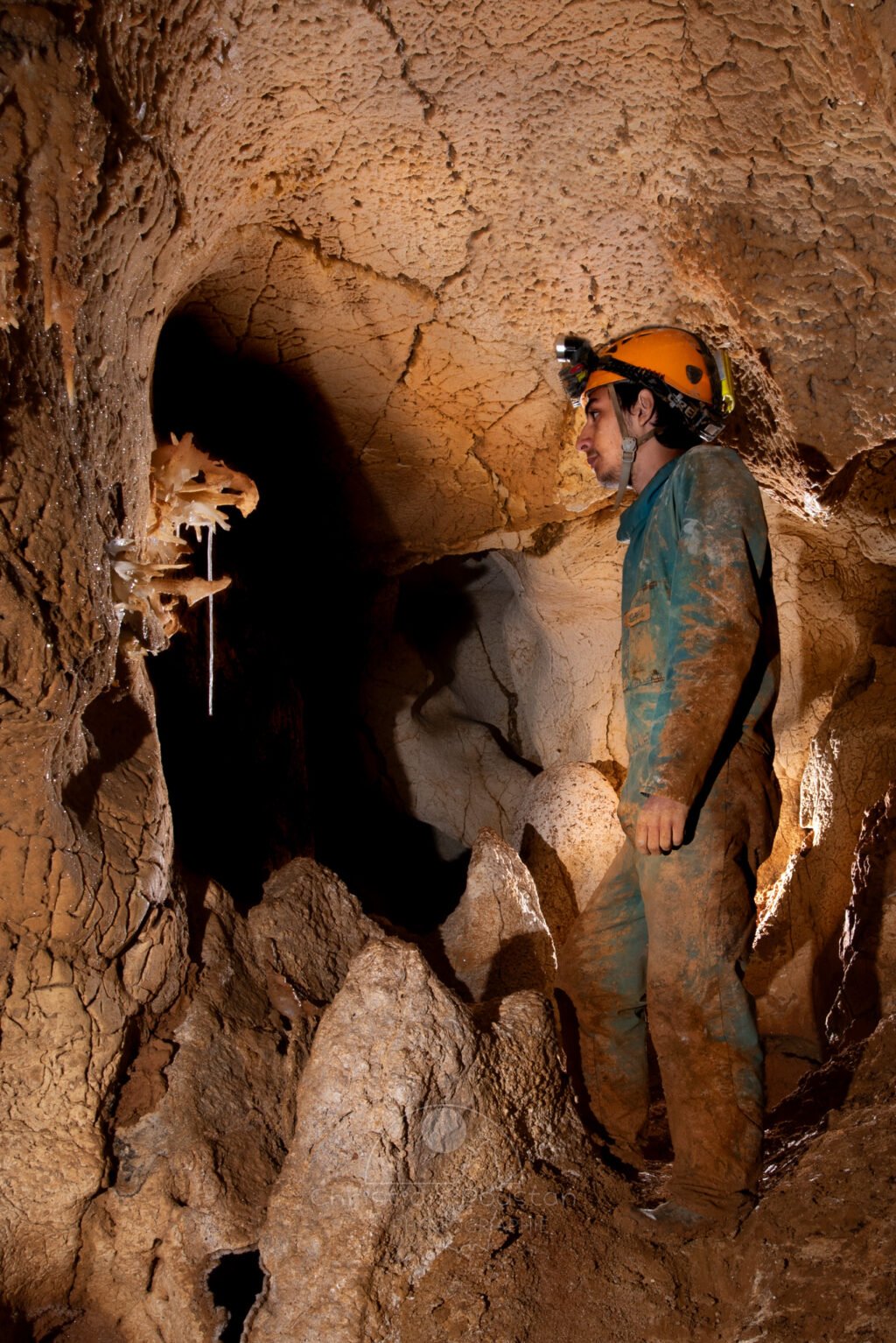 Une fistuleuse solitaire. (Grotte du Barry, Gard)