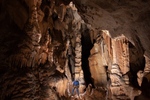 La salle Mazauric (dans la grotte du Barry) et ses massifs stalagmitiques. (Grotte du Barry, Gard)