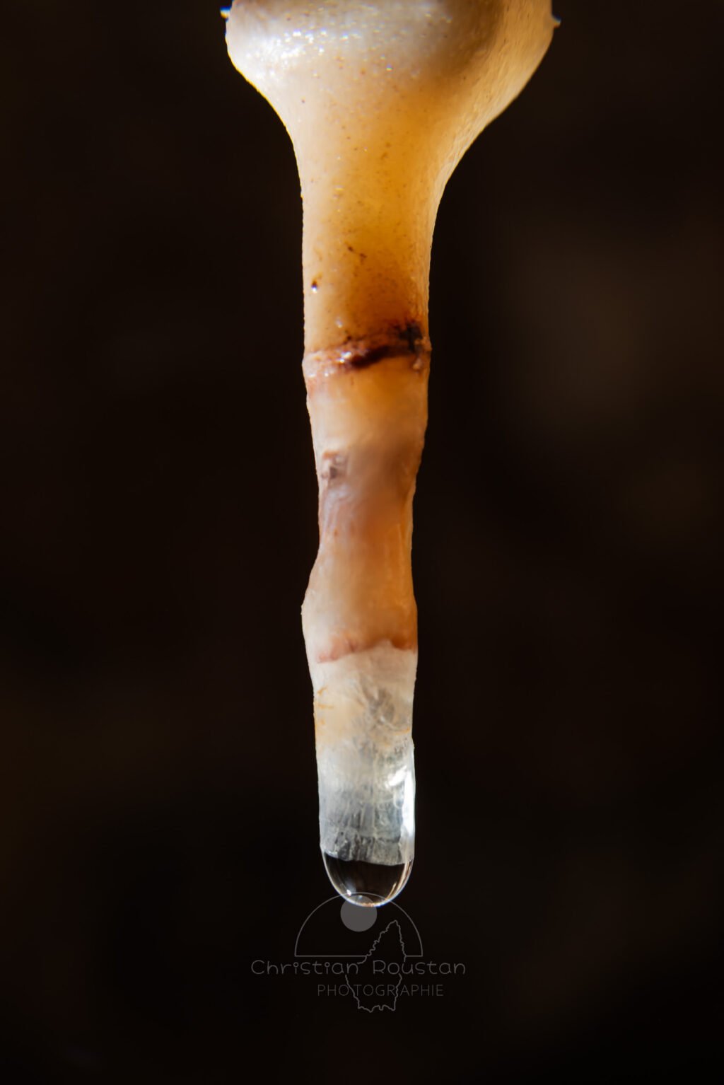 Le temps et les couleurs... Une fistuleuse avec une goutte d'eau à son extrémité. (Grotte du Chasserou, Ardèche)