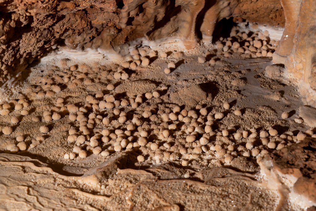 Les perles du Chasserou: une partie du sol est recouverte de perles. (Grotte du Chasserou, Ardèche)