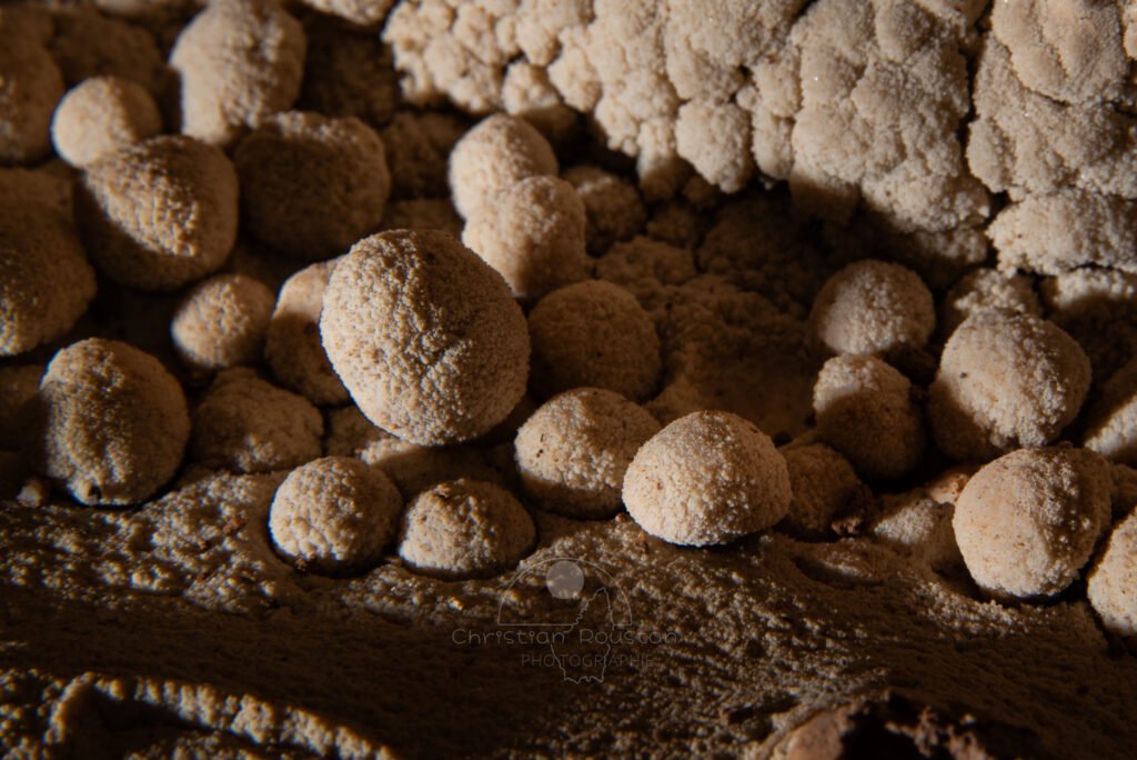 Elles sont appétissantes... (Grotte du Chasserou, Ardèche)