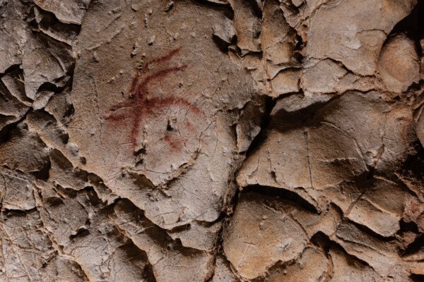 Une trace d'ocre d'une autre époque (Avant-train de bouquetin). (Grotte du Déroc, Ardèche)