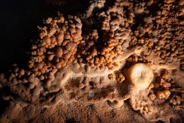 Vue plongeante sur les spéléothèmes. (Aven Grotte de l'Émeraude, Gard)