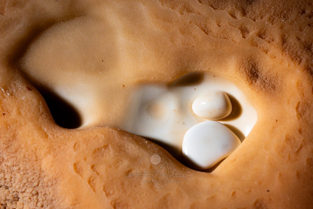 Deux perles blanche entourées d'ocre.(Spéléothème) (Aven Grotte de l'Émeraude, Gard)