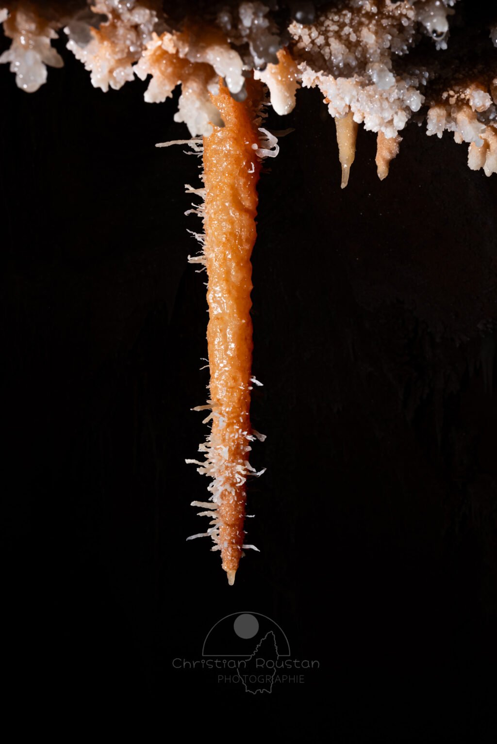 Il avait du poil au pattes... La stalactite aussi... (Aven Grotte de l'Émeraude, Gard)
