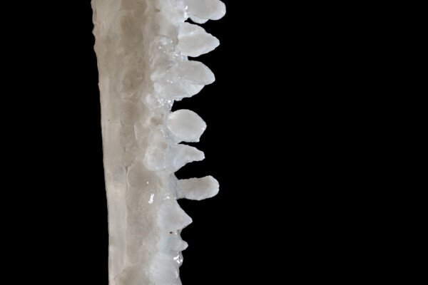Sucre d'orge... (Spéléothèmes) (Aven Grotte de l'Émeraude, Gard)