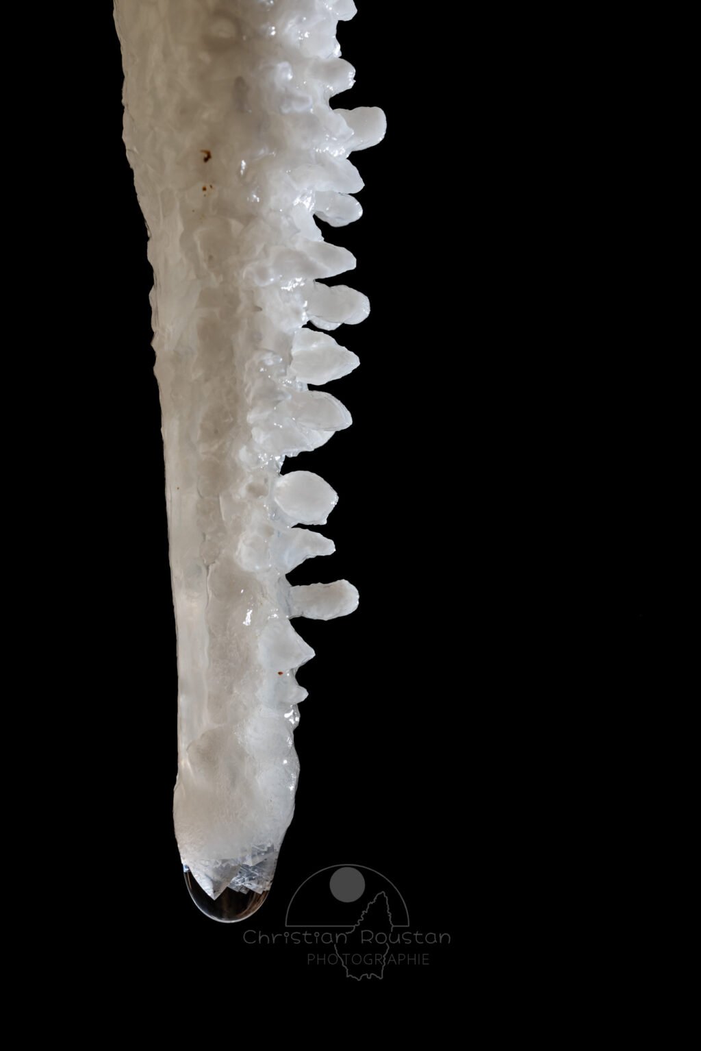 Sucre d'orge... (Spéléothèmes) (Aven Grotte de l'Émeraude, Gard)
