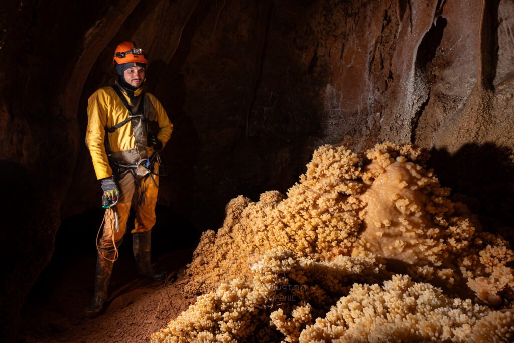 Un spéléo admire un gros massif de choux fleurs. (Spéléothème) (Aven Grotte de l'Émeraude, Gard)